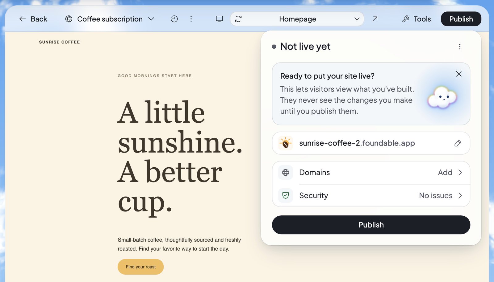 The Publish panel before a website’s first publish: Not live yet, a card explaining publishing, the suggested web address, Domains and Security, and the Publish button.