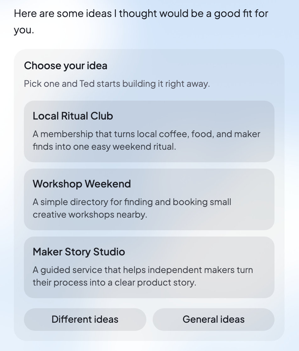 Ted’s Choose your idea card in the chat, with three business ideas and the Different ideas and General ideas buttons.