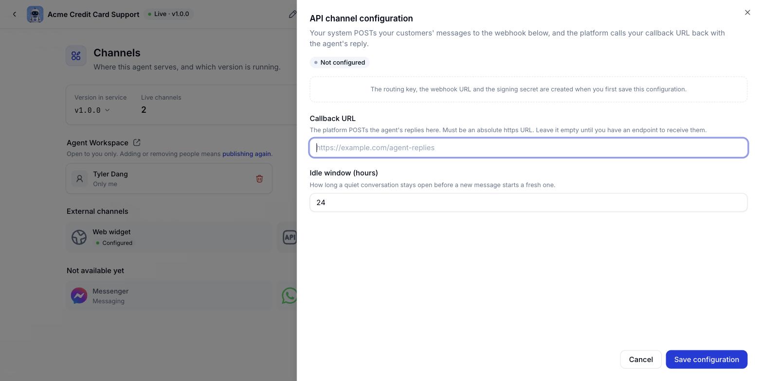 API channel configuration panel