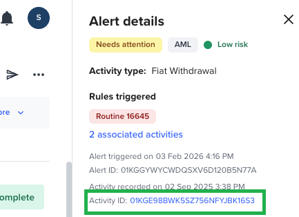 View the primary activity