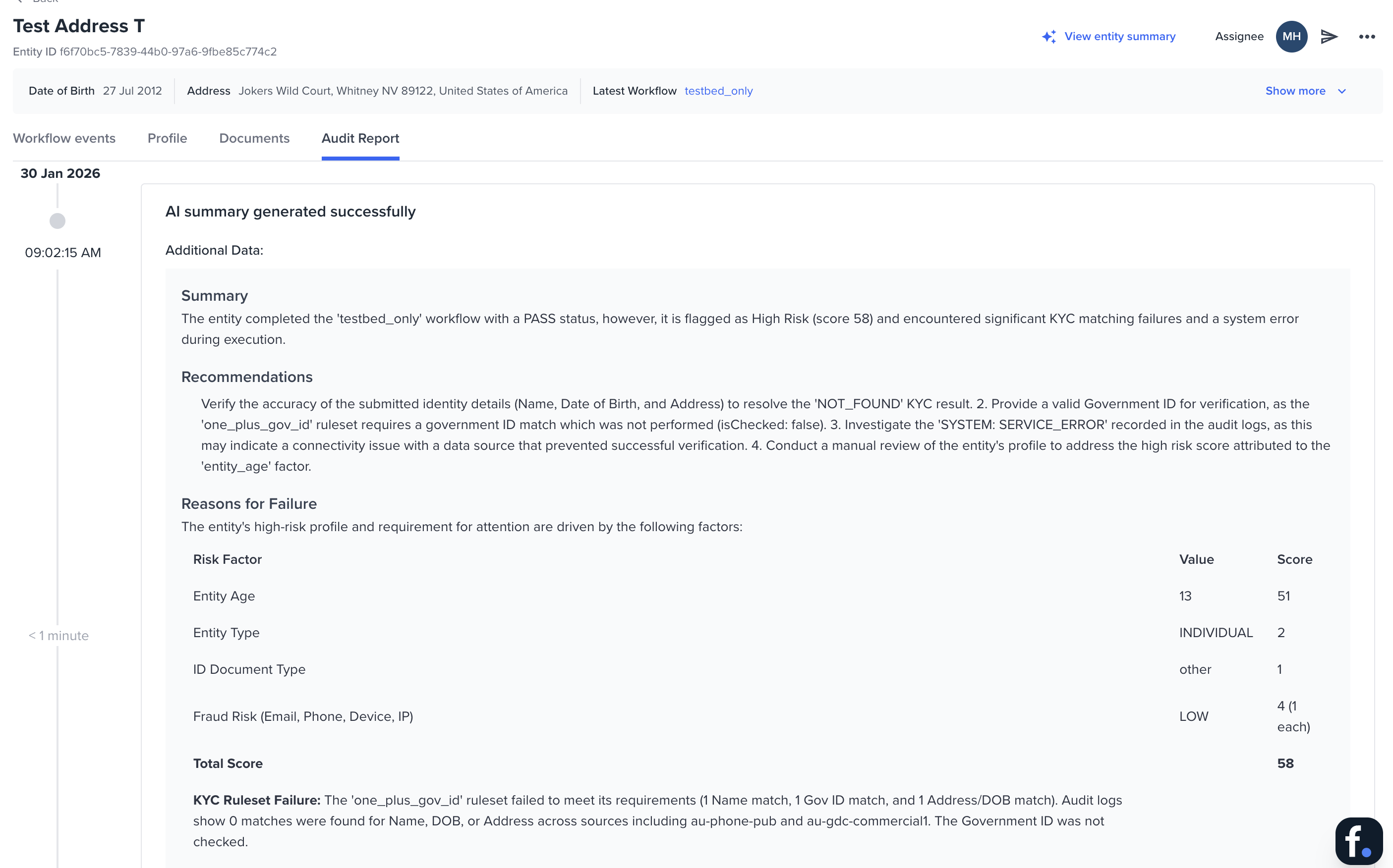 Expanded audit report summary