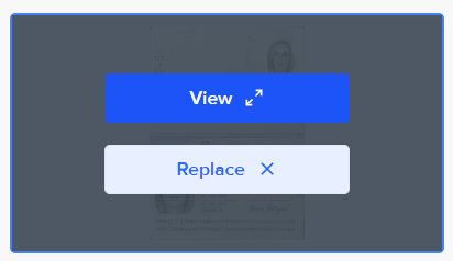View or Replace Document