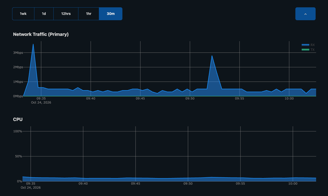 Statistics section with time range buttons and Network Traffic and CPU graphs