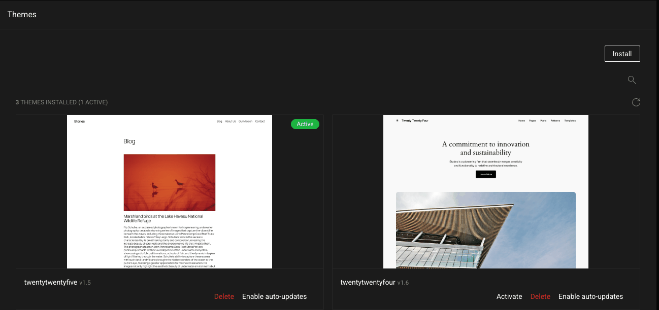 Themes section with theme previews and Install, Activate, Delete and auto-update options