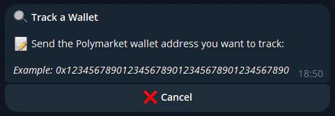 Wallet Tracker Telegram