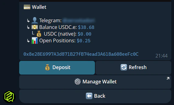 Telegram wallet