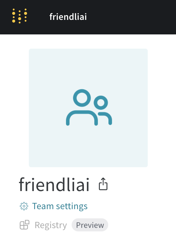 Weights & Biases Team settings