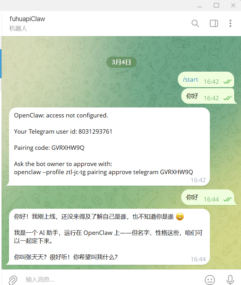 Chat with bot