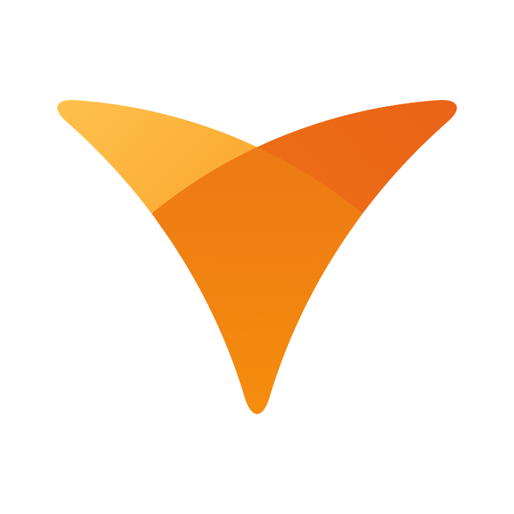 light logo