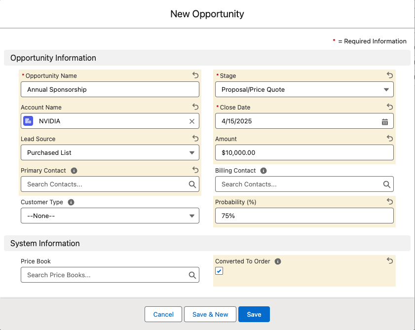 The new Opportunity record with the Opportunity Information fields filled in
