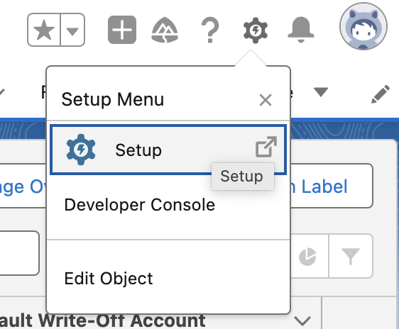 Salesforce gear icon menu with Setup highlighted