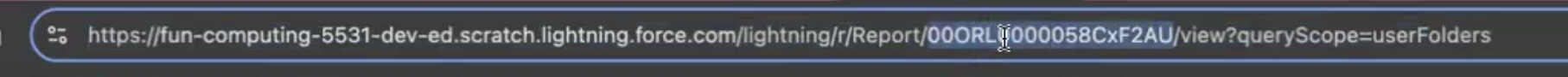 Report ID in the browser address bar