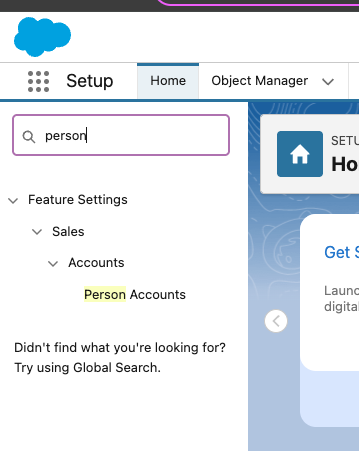 Salesforce Setup with Person typed in Quick Find and Person Accounts in the results.