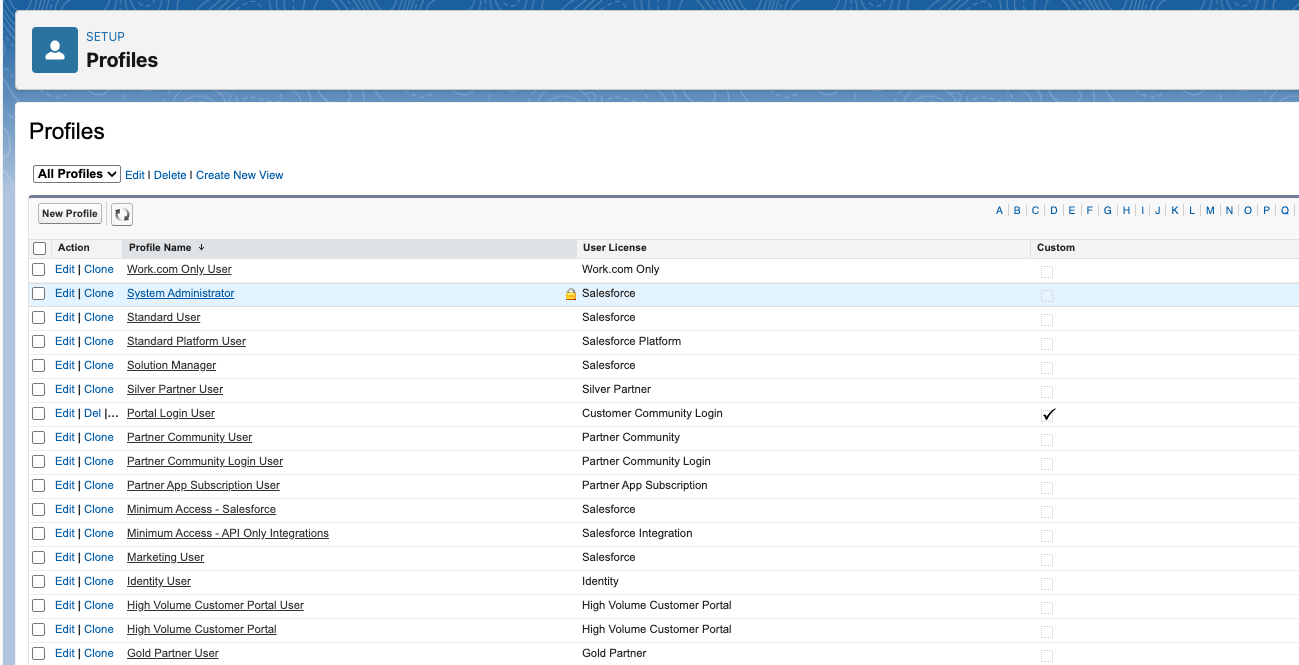 Profiles list in Salesforce Setup.