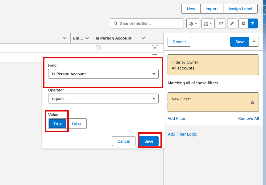 List view filter summary showing the Is Person Account filter.