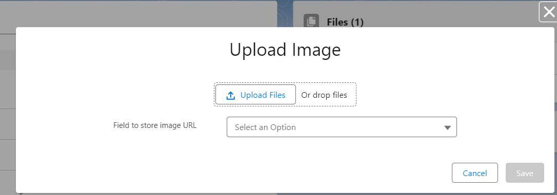 Image upload modal showing the Upload Files button.