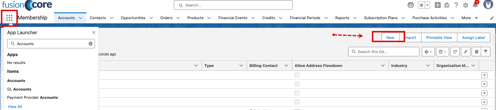 Accounts list view with the New button at the top right