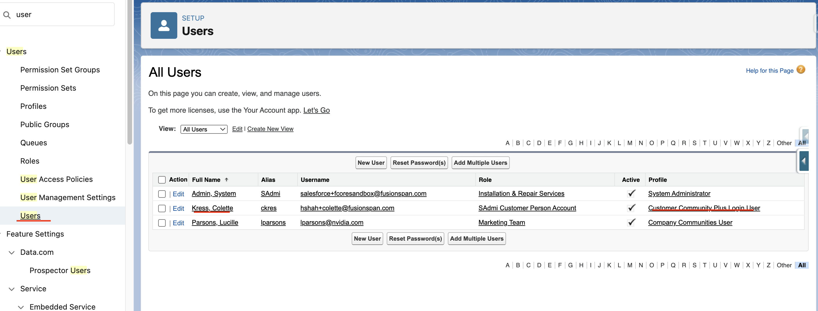The user detail page in Setup
