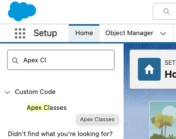 Quick Find filtered to Apex Classes in Setup