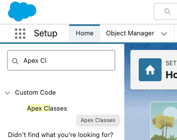 Quick Find filtered to Apex Classes in Setup