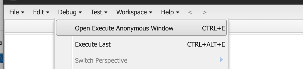 The Developer Console Debug menu with Open Execute Anonymous Window