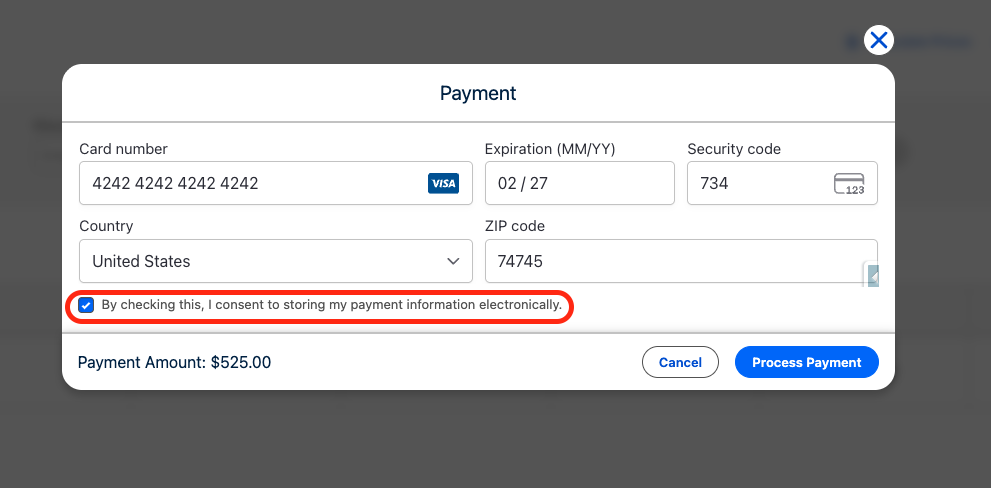 The Payment Information modal with the save-payment checkbox selected