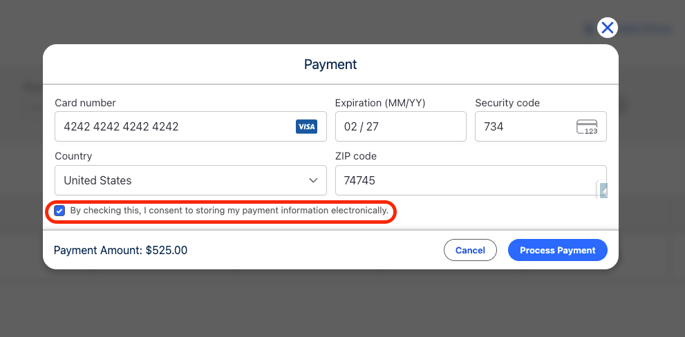 The Payment Information modal with the save-payment checkbox selected