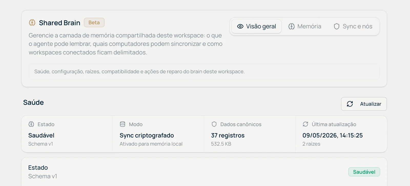 Visão geral do Shared Brain com abas de visão geral, memória e sync e nós