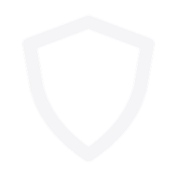 shield icon