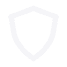 shield icon