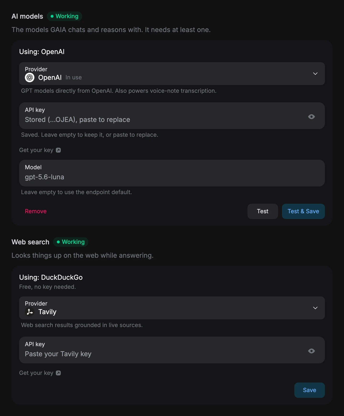Providers and Tools settings: AI models marked Working and using OpenAI, with the provider picker, the stored key, the model and Remove, Test and Test and Save buttons; Web search marked Working and using DuckDuckGo, with a provider picker set to Tavily and a Save button