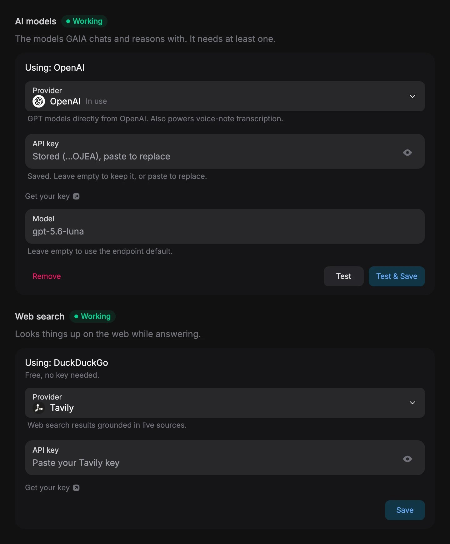 Providers and Tools settings: AI models marked Working and using OpenAI, with the provider picker, the stored key, the model and Remove, Test and Test and Save buttons; Web search marked Working and using DuckDuckGo, with a provider picker set to Tavily and a Save button