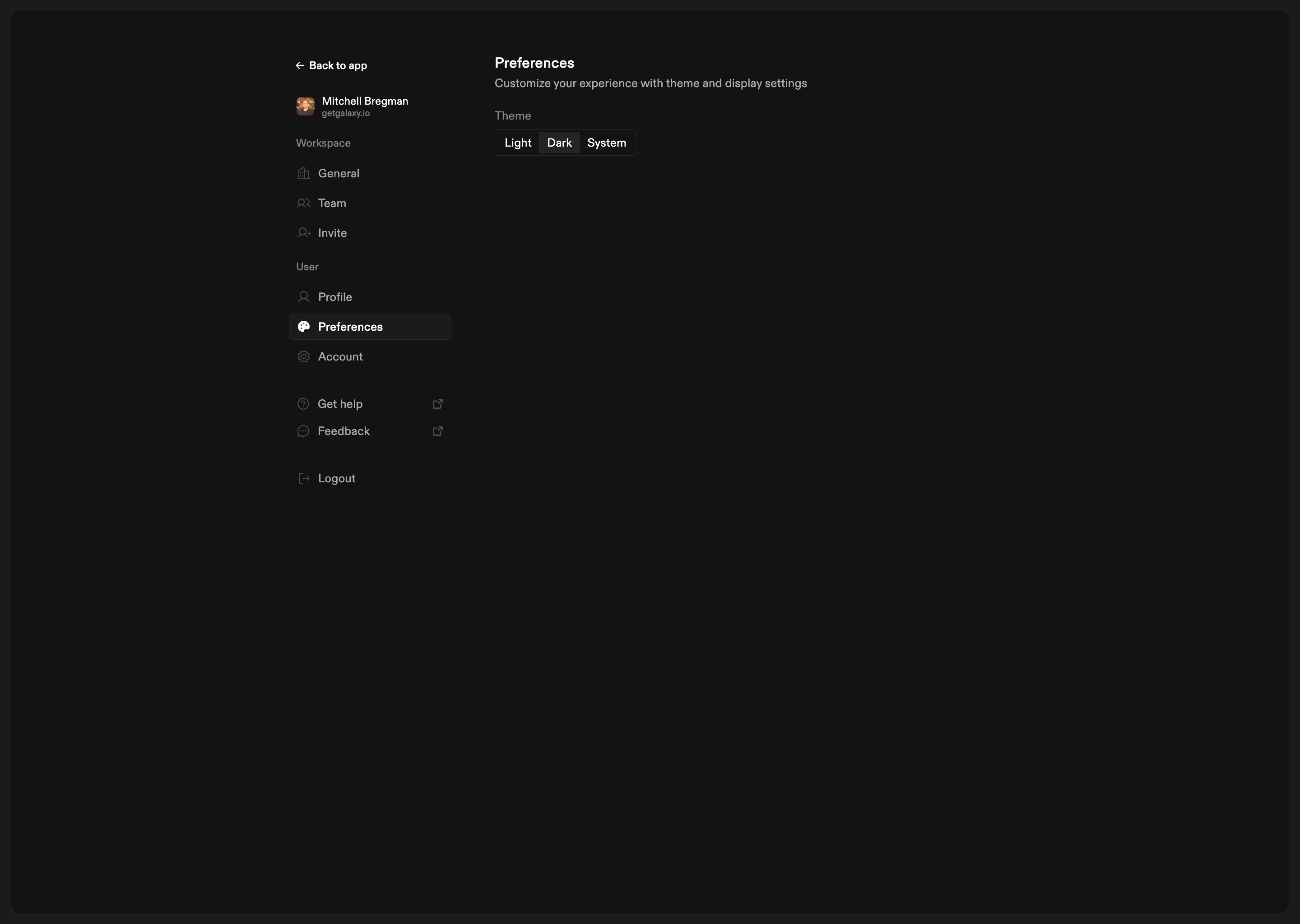 Preferences settings page showing theme switcher