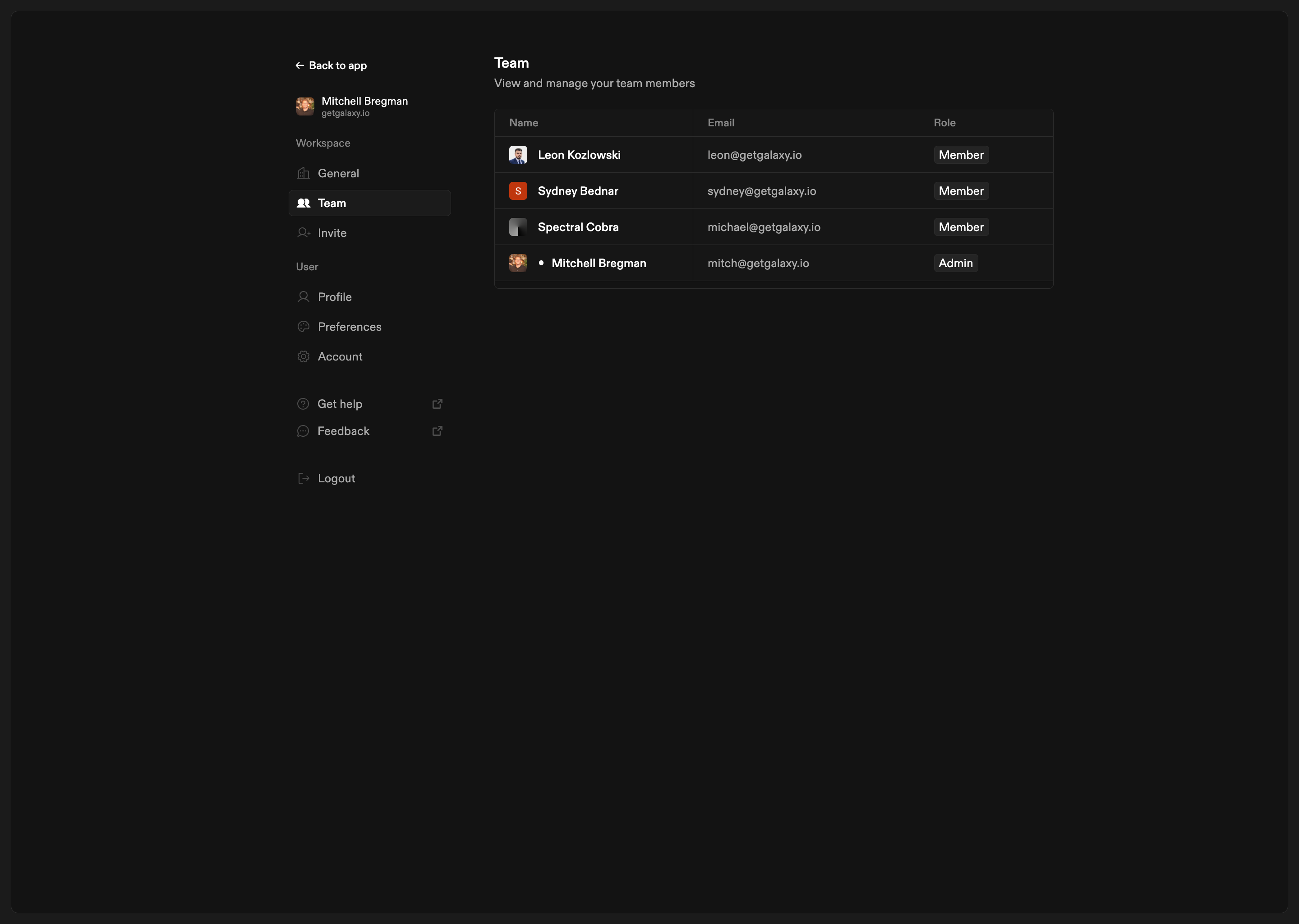 Team settings page showing team members table