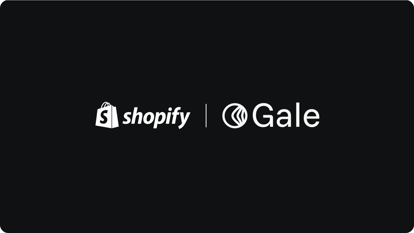Shopify Payments App