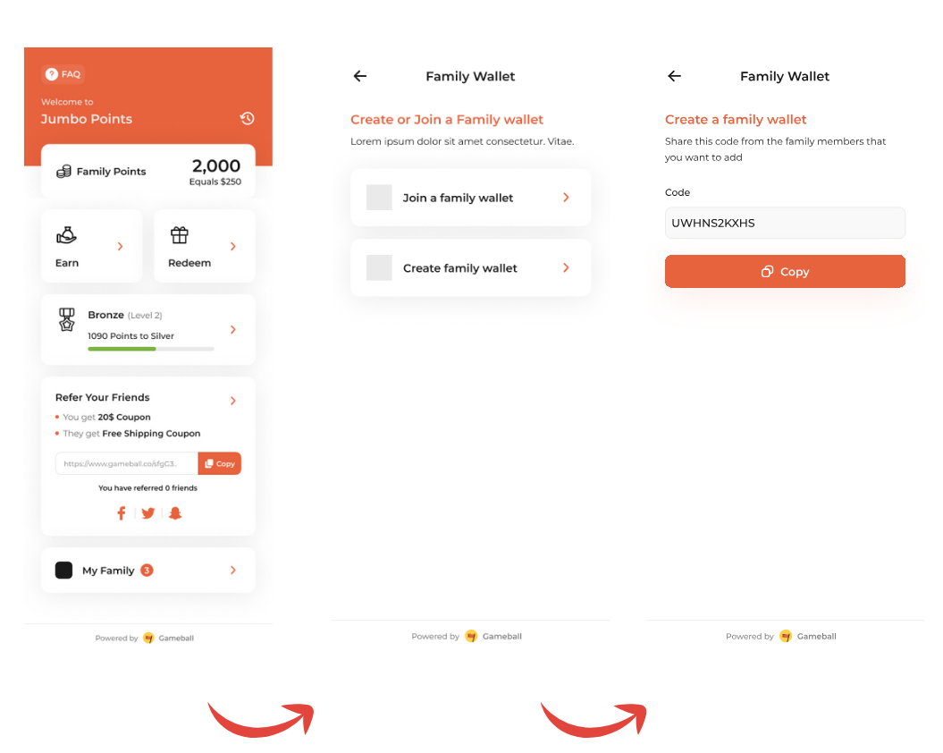 Family Wallet Dashboard - Showing Family Points card with balance