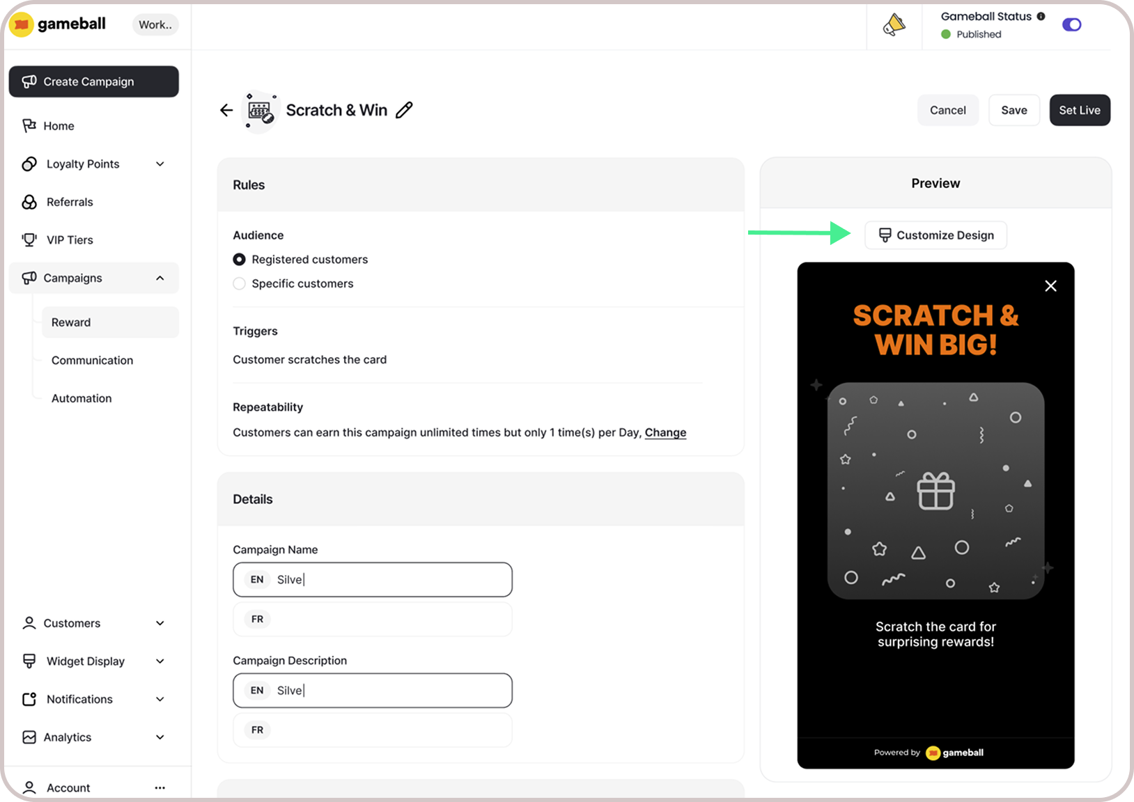 Campaign customization screens