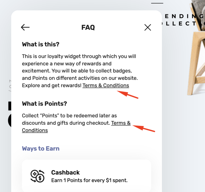 FAQ terms and conditions link
