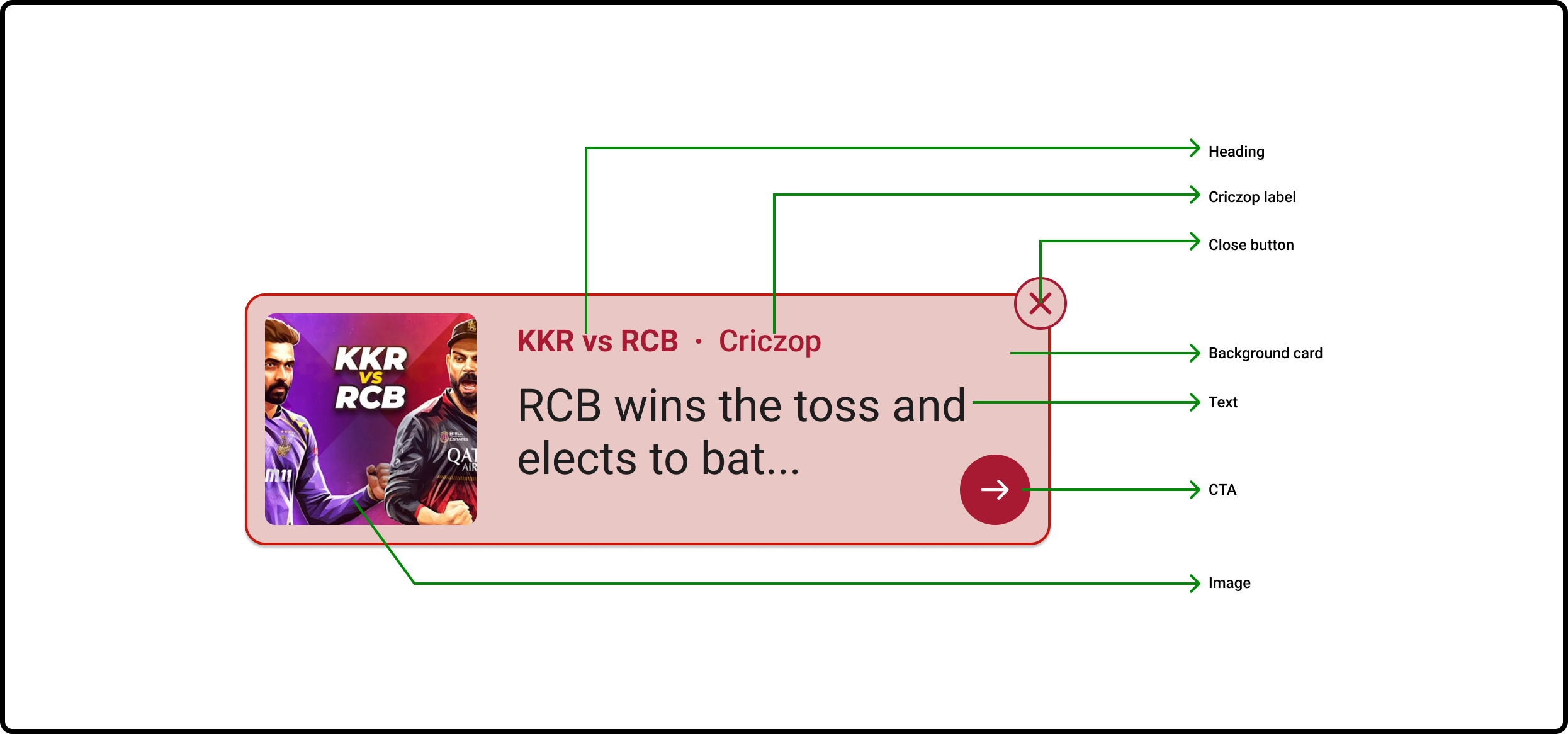 Criczop Web Widget - Expanded - Components