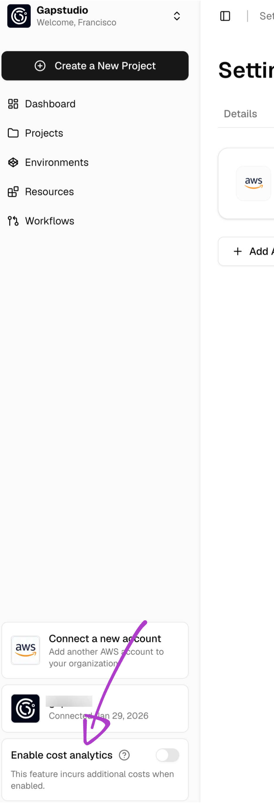 Organization settings sidebar with Enable cost analytics turned off and a note that the feature incurs additional costs when enabled.