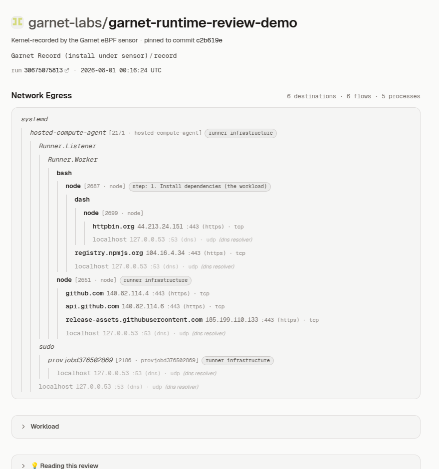 A public Garnet run report showing the process tree of a CI job with per-destination IPs, ports, protocols, and step attribution