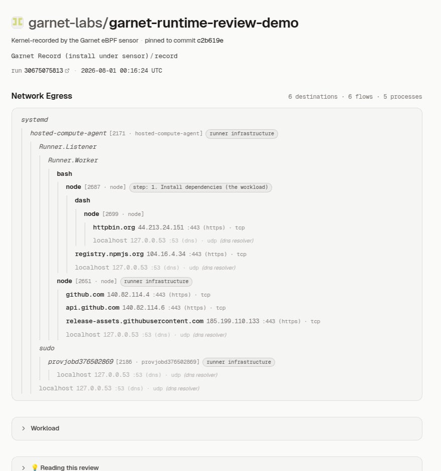 A public Garnet run report showing the process tree of a CI job with per-destination IPs, ports, protocols, and step attribution