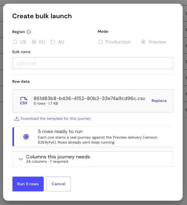 Create bulk launch dialog box with five rows ready to run