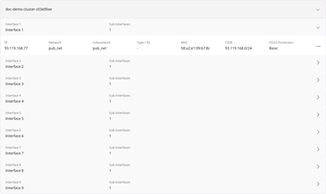 Node with expanded interface showing network details