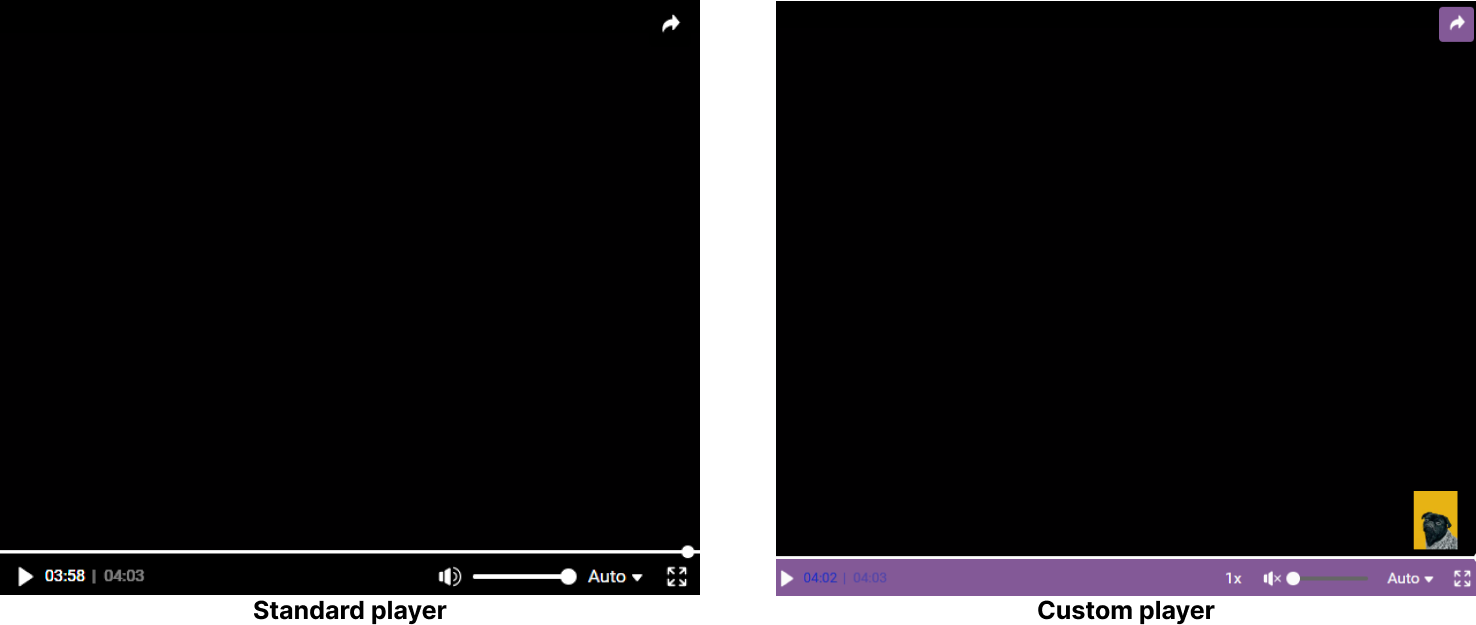 customization options