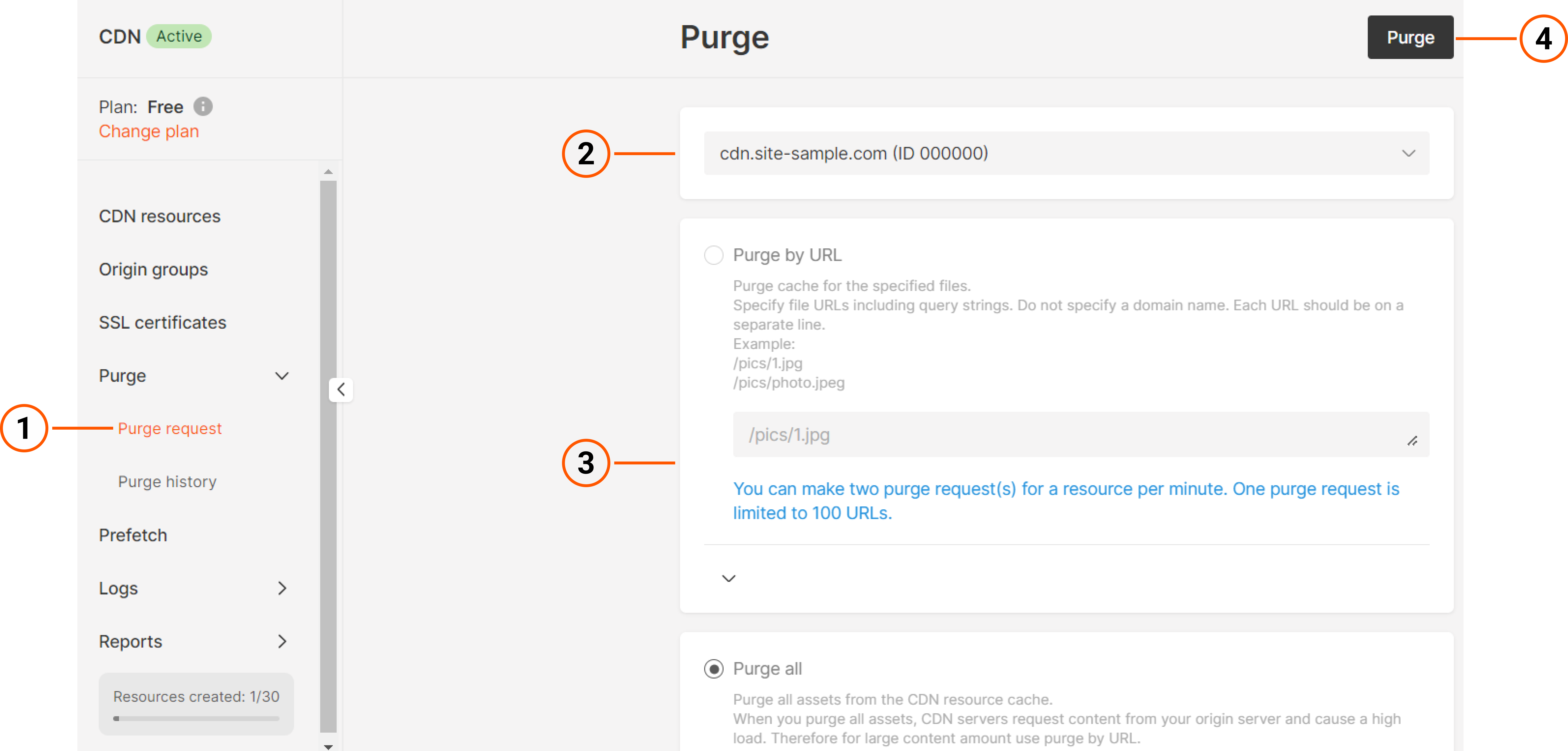 Purge section overview