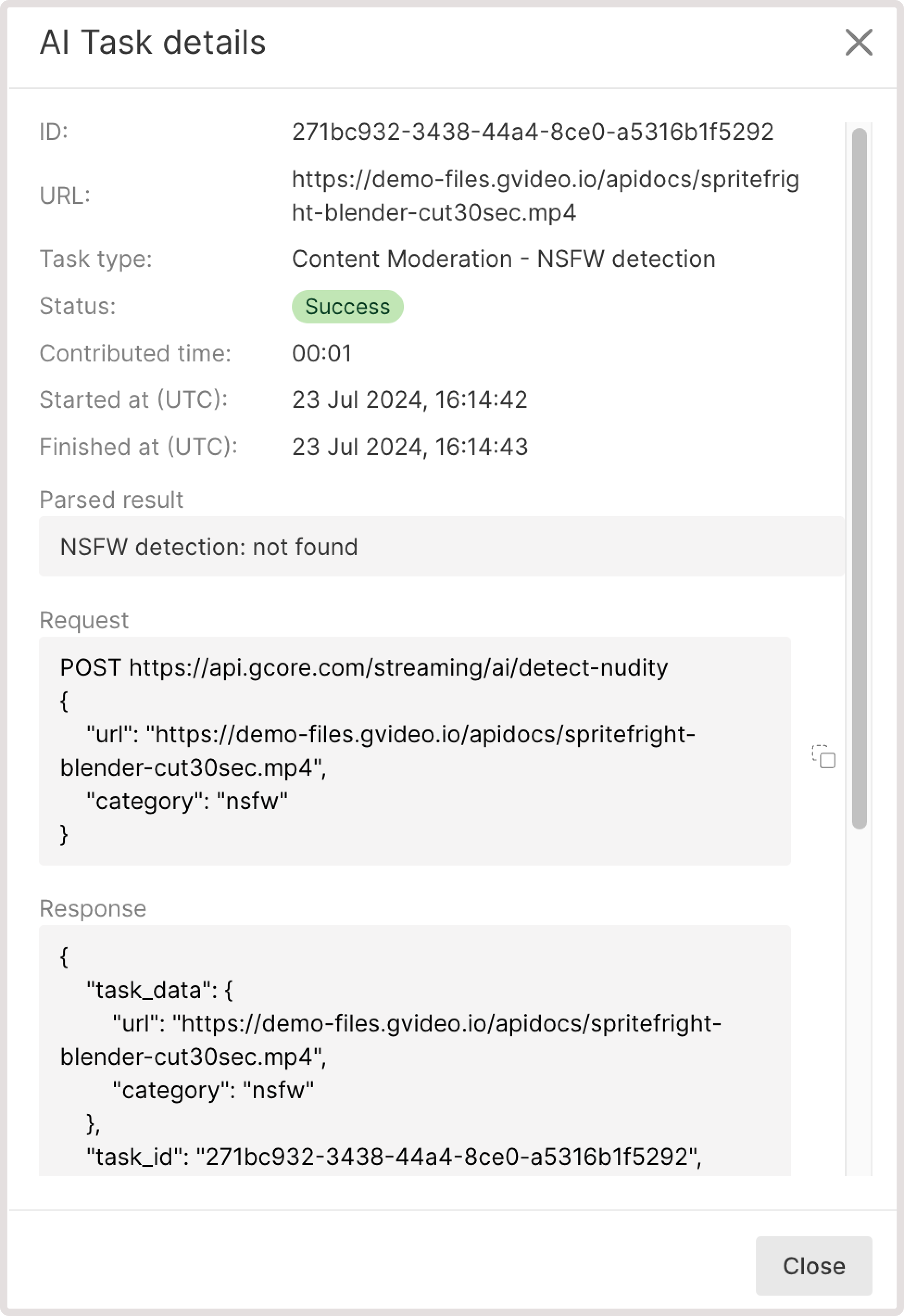 NSFW detection task details