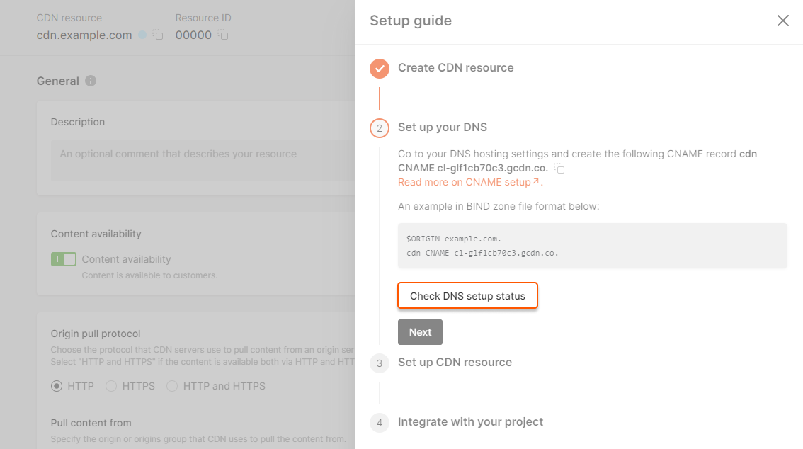Check DNS setup status