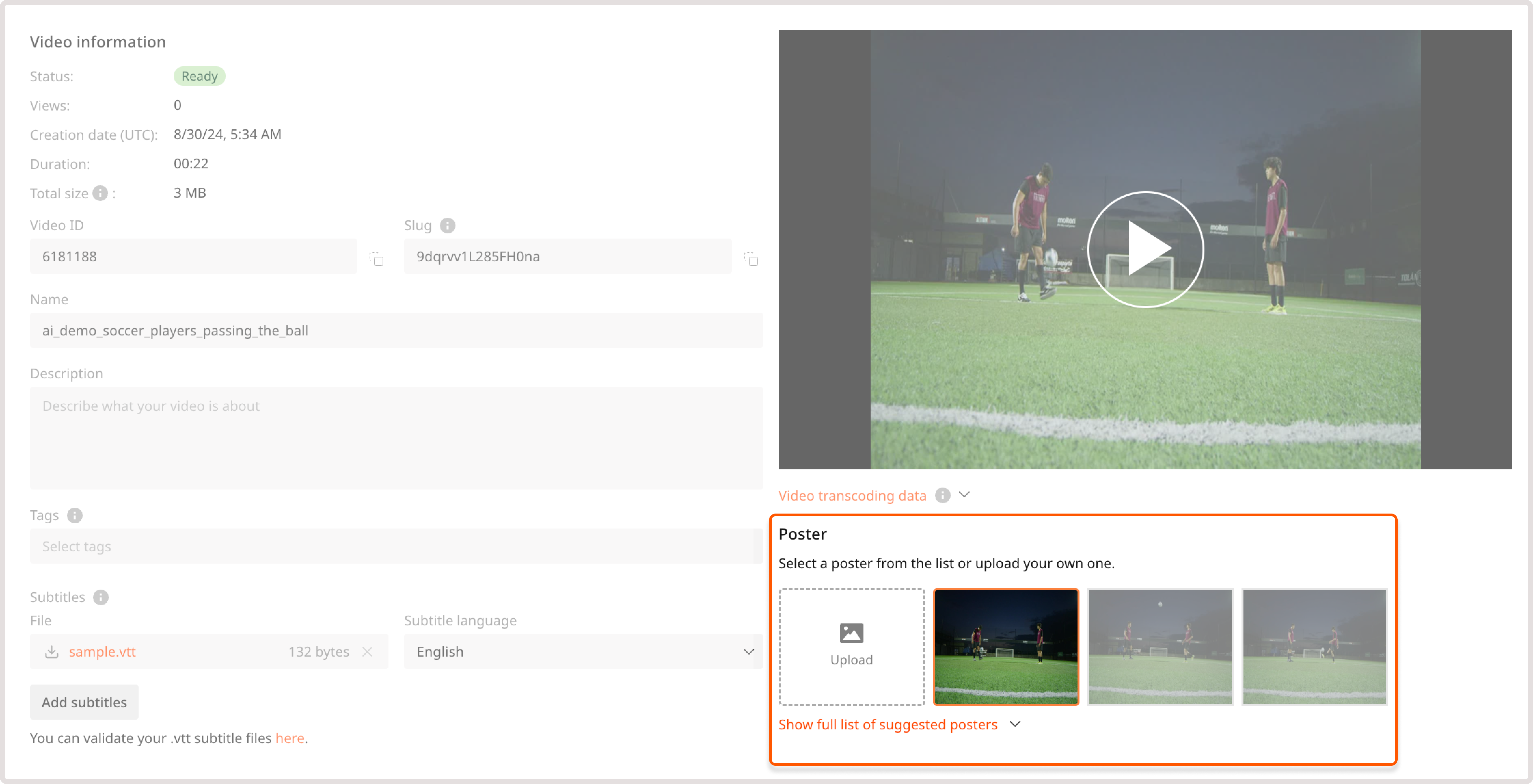 Video poster settings