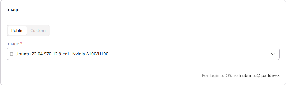 Image section with Public and Custom tabs and image selector
